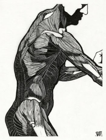 Anatomical study of a man's | Free Photo Illustration - rawpixel