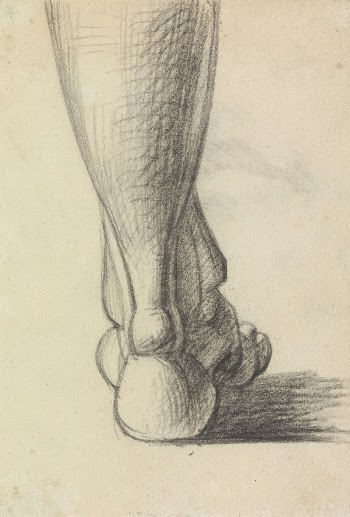 Anatomical Study of the Heel | Free Photo - rawpixel