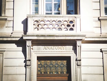 Anatomy Building
