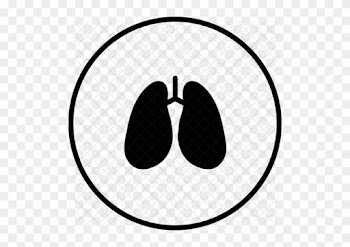 Anatomy, Detoxification, Hepatology, Lungs, Breathe, - Private Limited Company