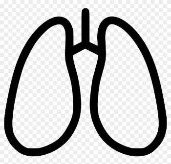 Anatomy Detoxification Hepatology Lungs Breathe Pulmonology - Medicine