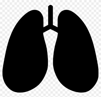 Anatomy Detoxification Hepatology Lungs Breathe Pulmonology - Medicine