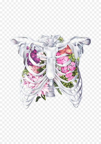 Anatomy Rib cage Flower Human body Drawing - Creative elements 
