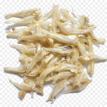 Anchovy Fish Whitebait Anchovies as food Seafood - Anchovy 