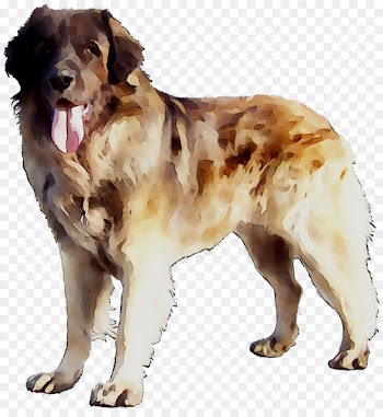 Ancient dog breeds Moscow Watchdog Companion dog -  