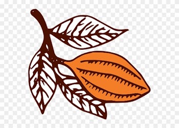 Ancient Maya Valued Cocoa Pods So Highly That They - Dick
