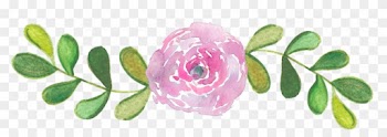 And An Aesthetic For Books, And It's Just So Satisfying - Garden Roses