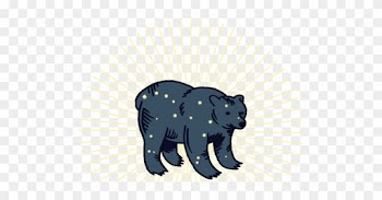 Andrew Hallal Is A Licensed Massage Therapist And A - American Black Bear
