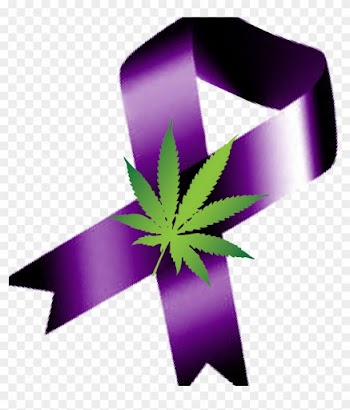 Andrew Wilner, Neurologist Discussing Epilepsy Medications - Graphic Design