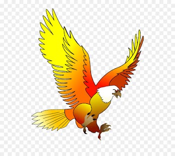 Android application package Eastern kingbird Mobile app - beautiful birdz 