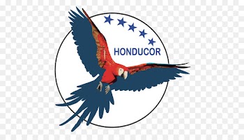 Android application package Honducor Mobile app Honduras - android 