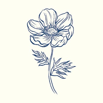 Anemone flower collage element, blue | Free Vector Illustration - rawpixel