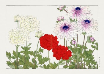 Anemone flower woodblock painting by Tanigami | Free Photo Illustration - rawpixel