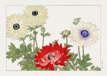 Anemone flower woodblock painting by Tanigami | Free Photo Illustration - rawpixel