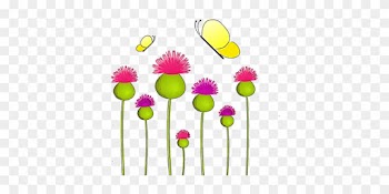 Anemone Nature Thistle Lady Wild Plant Flo - Flower
