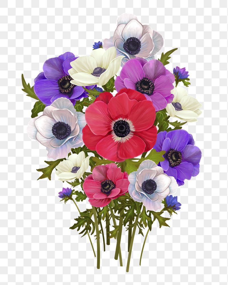 Anemone png flower sticker illustration, | Free PNG - rawpixel