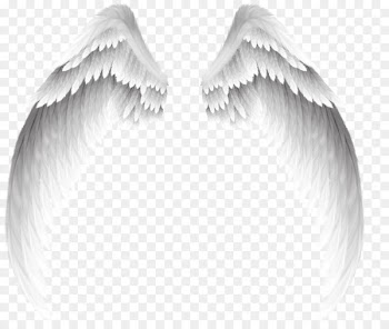 Angel Clip art - Pretty white angel wings 