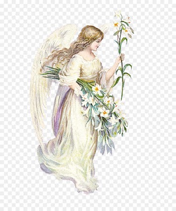 angel fictional character plant flower cut flowers