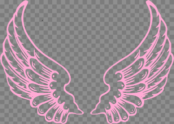 Angel Halo Wings