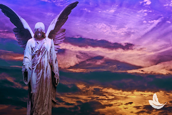 Angel Number 1111 - Matt Fraser