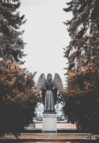 Angel Statue In Between Trees