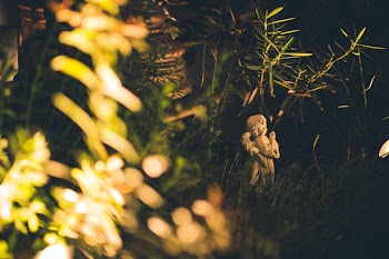 Angel Statue In the Grass