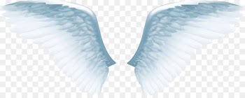 Angel wing Icon - Exquisite white angel wings 