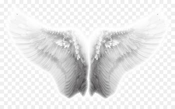 Angel wing Icon - Wings, angel wings, Taobao creative wings effects 