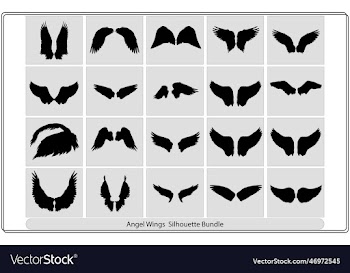 angel wing isolated on white background
