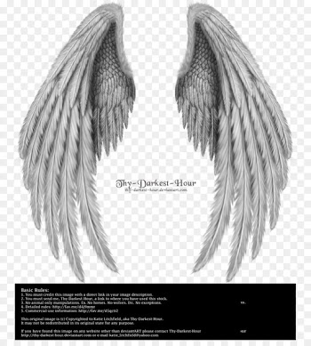 Angel wing - wing,Angel wings,Real 
