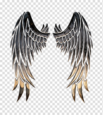 Angel Wings PNG High-Quality Image