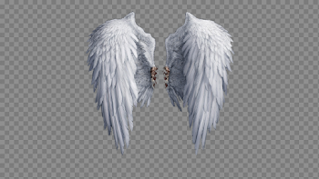 Angel Wings PNG Photo