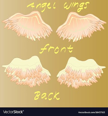 Angel wings set vector image