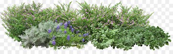Angels Garden Tree - Grass flowers 