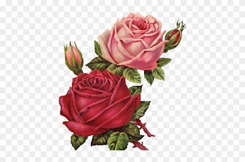 Angels With Roses Clipart - Red Roses Vintage Png