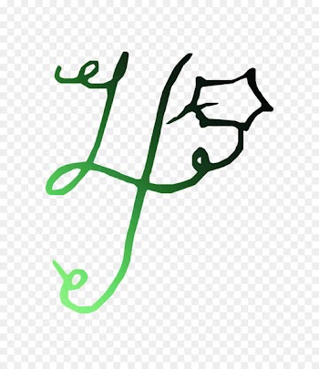 Angle, Line, Leaf, Plant PNG