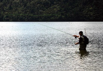 angler_1.jpg