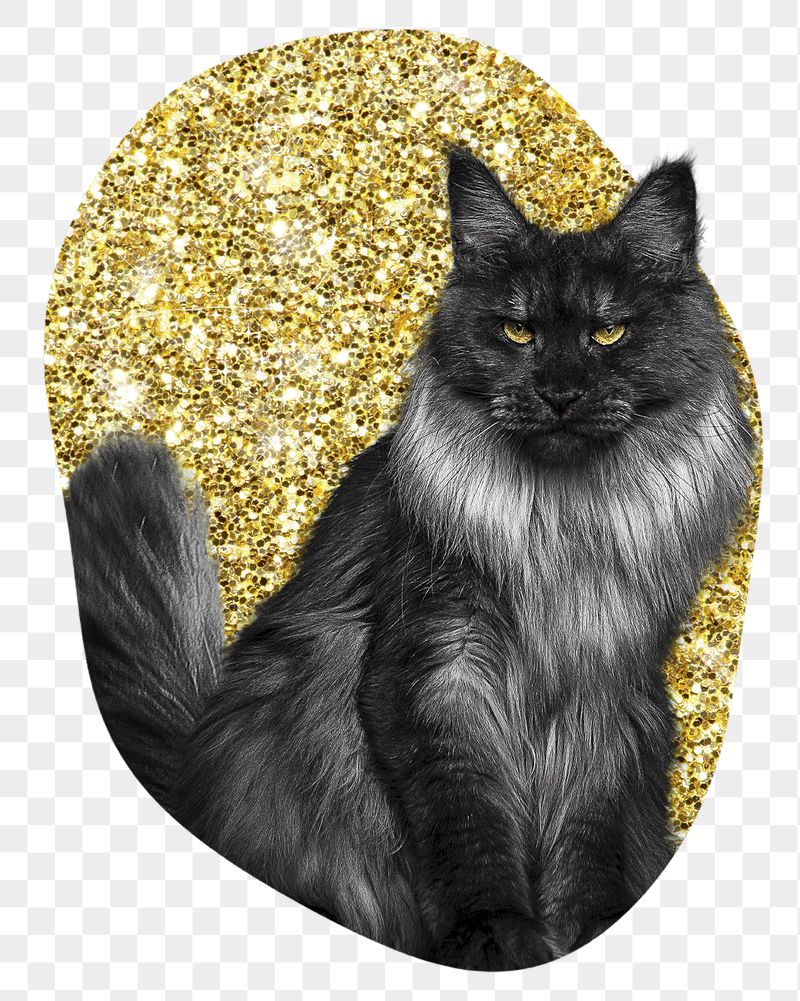 Angora cat png badge sticker, | Free PNG - rawpixel