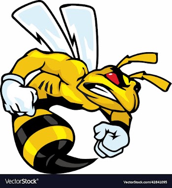 angry bee
