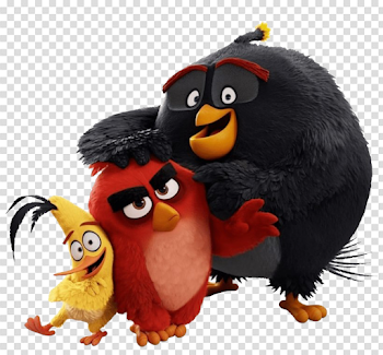 Angry Birds PNG Image