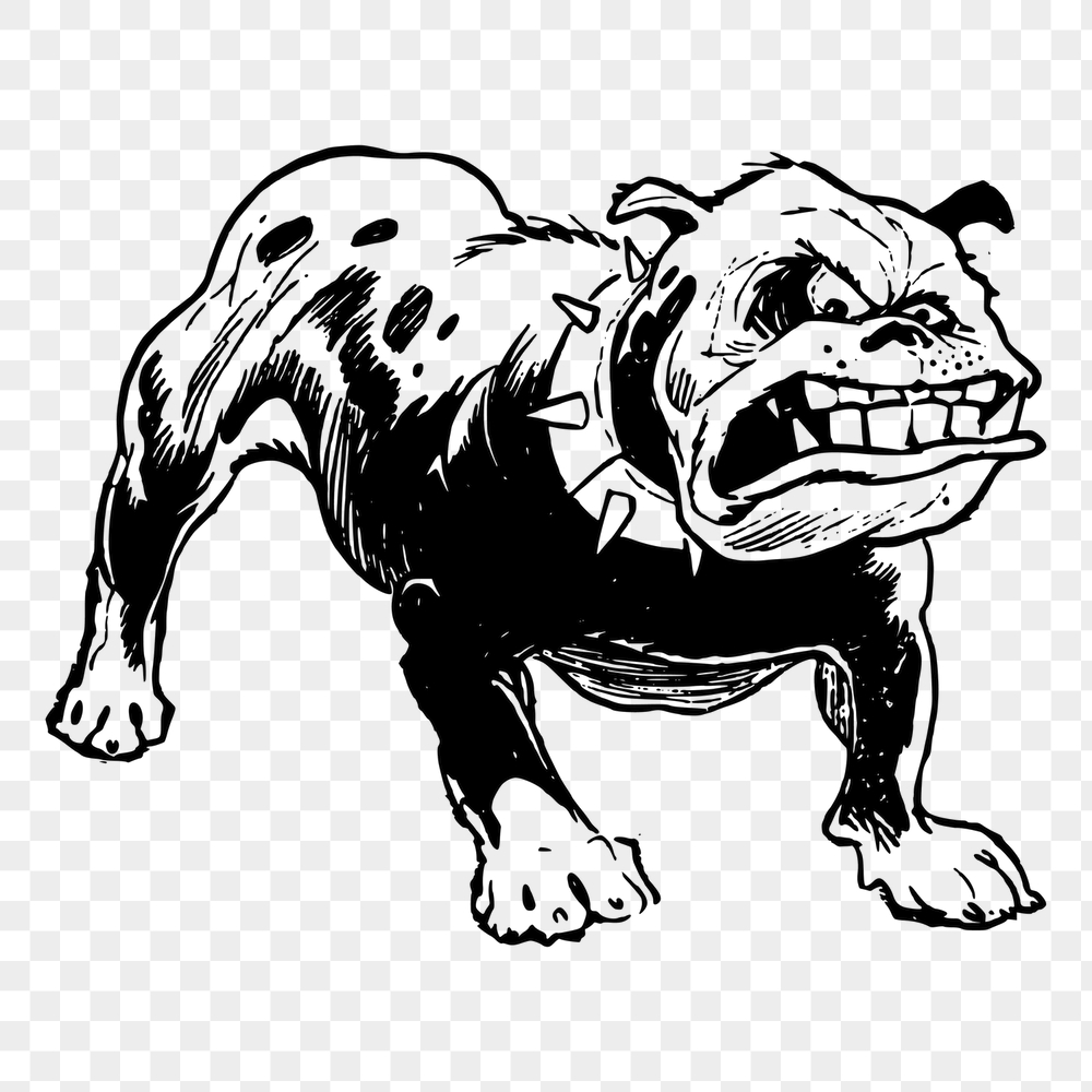 Angry bulldog png sticker, animal | Free PNG - rawpixel