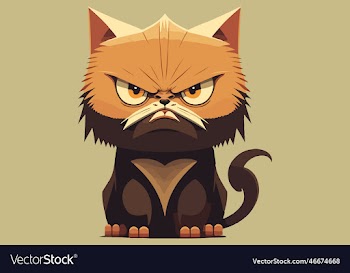 angry cat