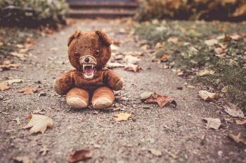Angry Cuddly Bear Free Photo 