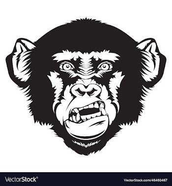 angry gorilla