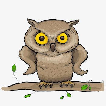 Angry Owl, Angry Clipart, Owl Clipart, Solemn Expression PNG Image ...
