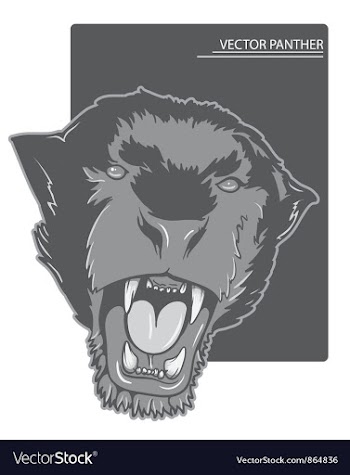 Angry panther vector image
