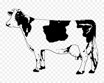 Angus cattle Calf Clip art - Sketch Cow 