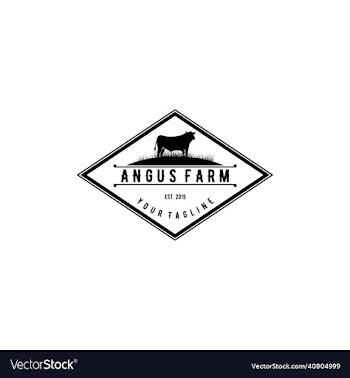 angus farm cattle badge logo design
