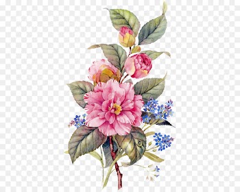 Animaatio Blog Clip art - others 