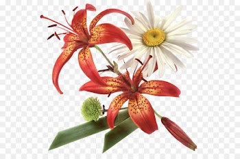 Animaatio Flower - flower 